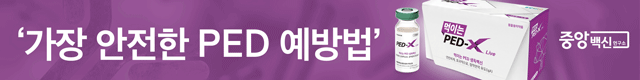 배너