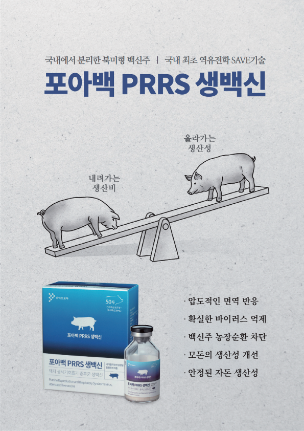 배너