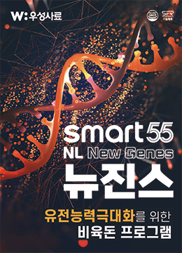 배너