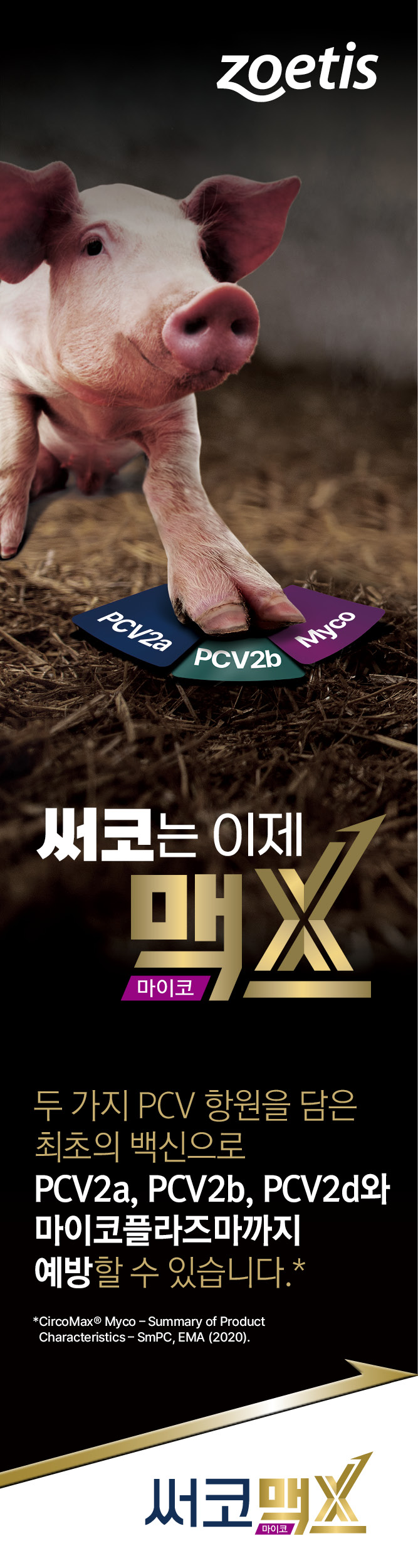 배너