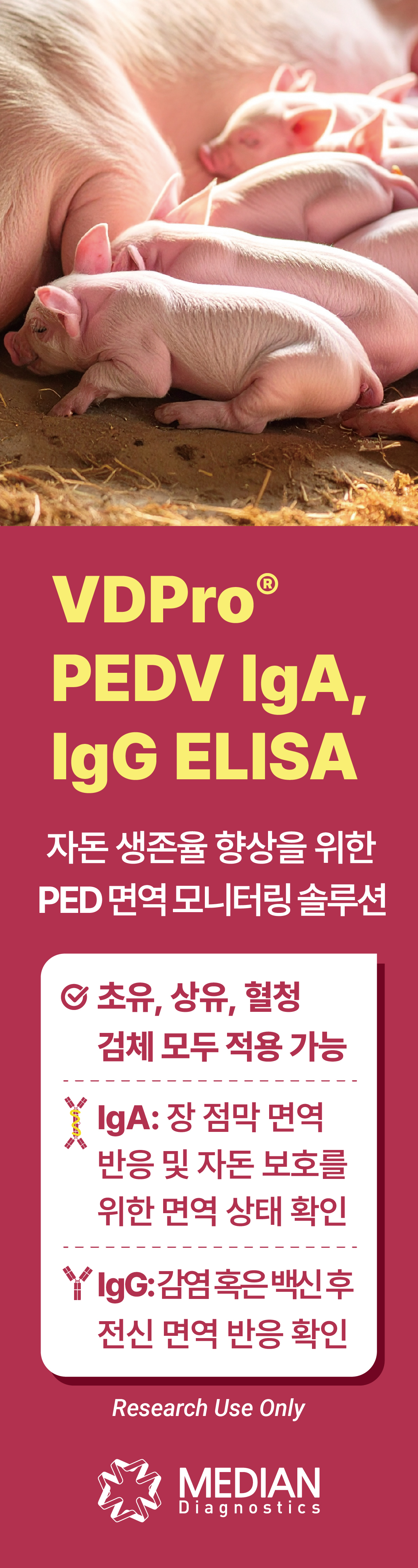 배너