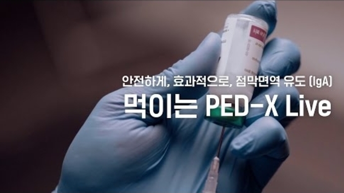 [광고] 중앙백신연구소 '먹이는 PED-X Live'