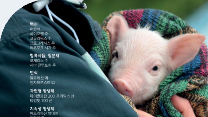 [광고] 세바코리아 양돈제품 카탈로그