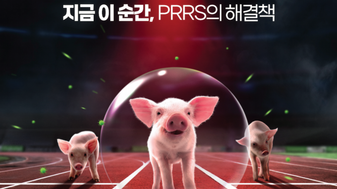 [광고] 시작이 다른, 리니지 1 백신 '프리배선트 PRRS'