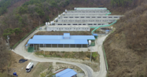 [다비퀸] 우수성적 농장 문강청안GP