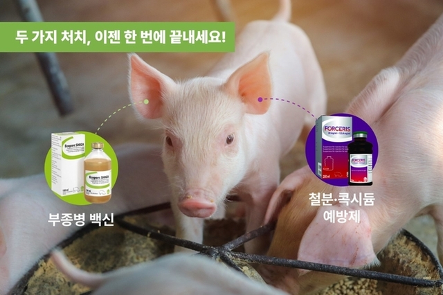 부종병 백신과 철분·항콕시듐제, 이제는 동시에 처치할 때입니다!