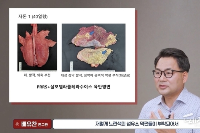 동영상으로 현장 진단능력 더욱 높인다