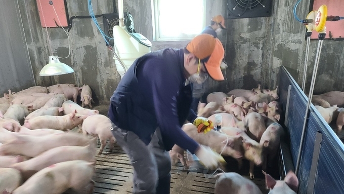 다음달 7일부터 외국인근로자(E-9) 3차 고용허가제 접수 시작