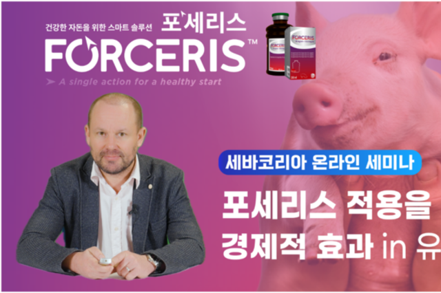 철분&항콕시듐 주사 처치의 가치는 얼마나 될까?