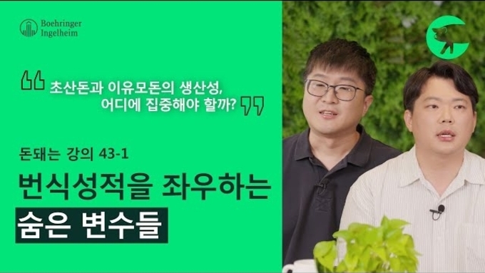 [돈돼는 강의] 번식성적 저하 원인의 70는 비감염성