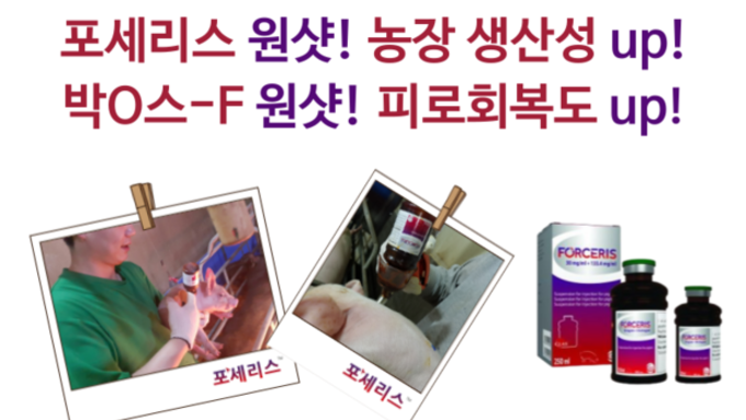 Friday, Forceris! 소중한 땀의 현장에 활력을! – 포세리스 캠페인