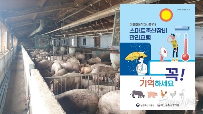 여름철 스마트장비 이렇게 관리하세요~