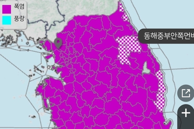 [속보] 폭염 돼지 폐사 신고두수 7만두 돌파