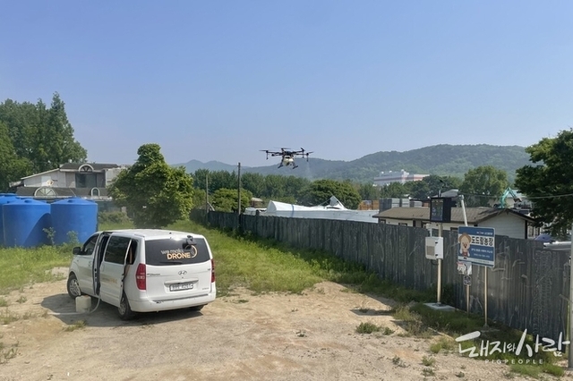 ASF 감염멧돼지 미검출 상황, 이제 만 3개월 넘었다