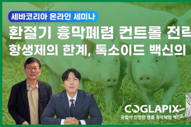 조용하지만 매우 위협적인 '흉막폐렴', 톡소이드 백신으로 예방하자!