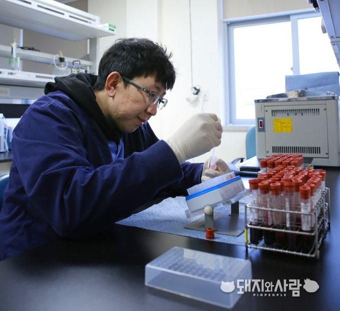 혈청검사, 제주특별자치도 동물위생시험소