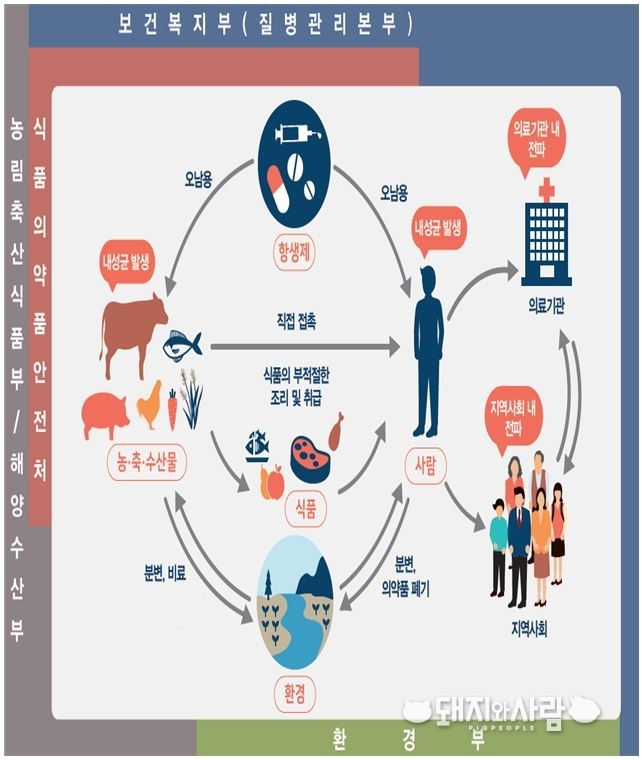 항생제 내성균의 발생 및 전파 경로