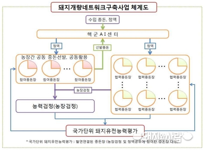 돼지개량네트워크사업은 씨돼지농장의 좋은 씨돼지를 선발‧공유‧평가해 유전적 연결을 확보함으로써 우리나라 여건에 맞는 한국형 씨돼지를 개량하는 데 목적이 있습니다.
