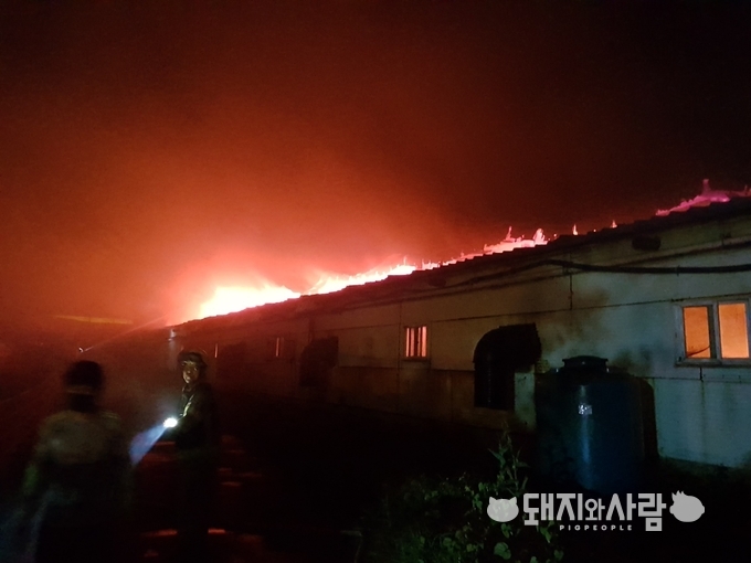 27일 충남 청양 돈사 화재(사진 제공: 청양소방서)