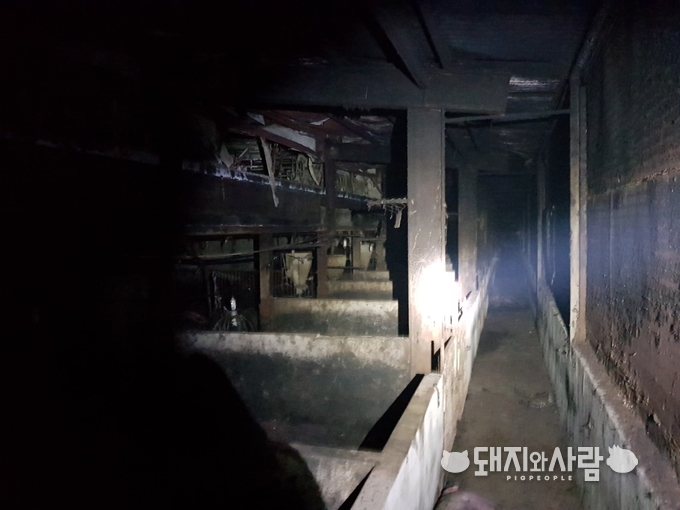 27일 충남 청양 돈사 화재(사진 제공: 청양소방서)