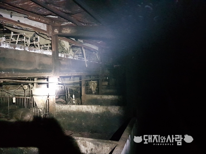 27일 충남 청양 돈사 화재(사진 제공: 청양소방서)