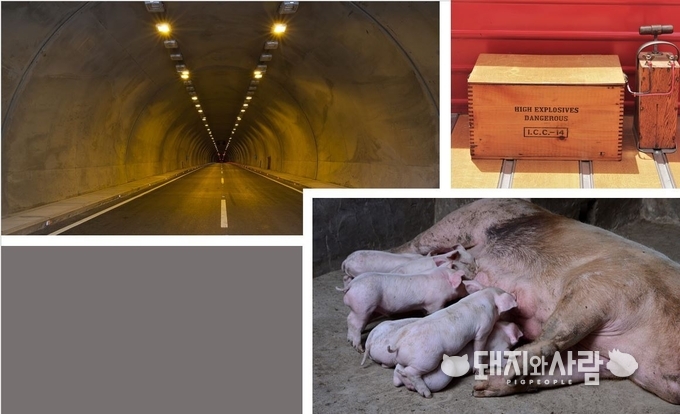 경남 환경분쟁조정위원회는 터널발파작업으로 인한 사산 및 폐사의 인과관계가 인정된다고 판단했습니다.