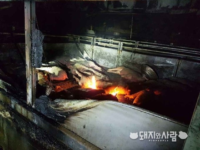 10일 천안 돈사 화재(사진 제공: 천안동남소방서)