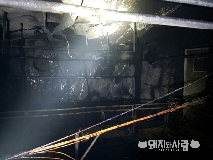 10일 천안 돈사 화재(사진 제공: 천안동남소방서)