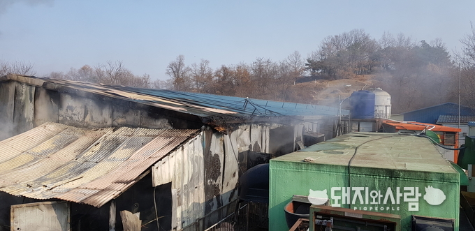 11월 27일 청주 돈사 화재(사진 제공: 충북도소방본부)