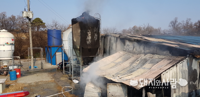 11월 27일 청주 돈사 화재(사진 제공: 충북도소방본부)
