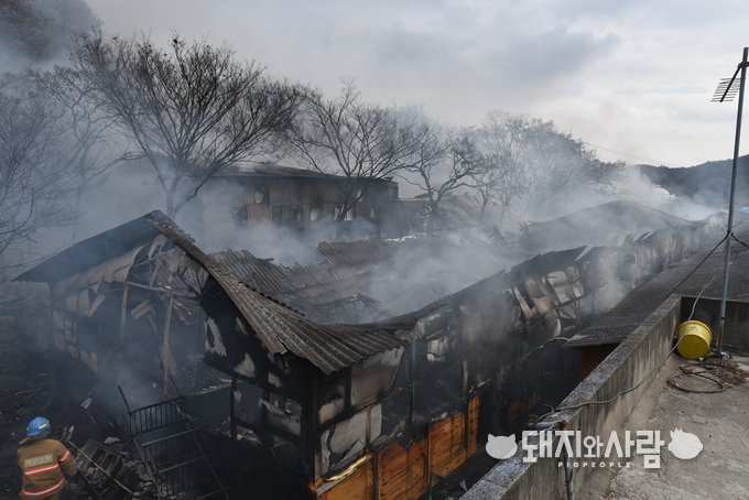 12월 2일 전남 무안 돈사 화재(사진 제공: 전남무안소방서)