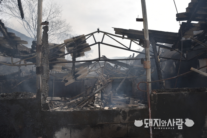 12월 2일 전남 무안 돈사 화재(사진 제공: 전남무안소방서)