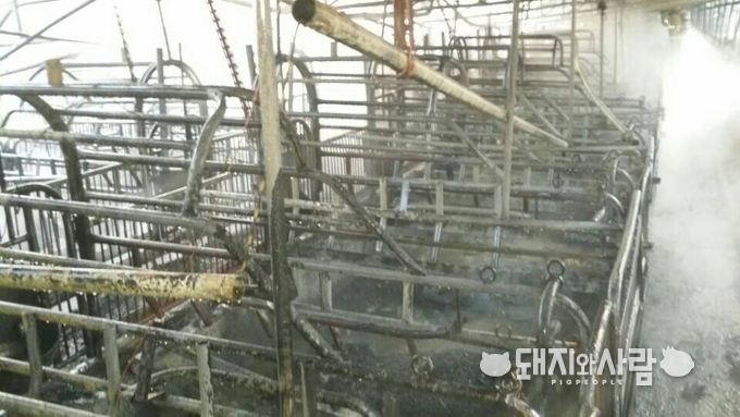 15일 경기 여주 돈사 화재(사진 제공: 경기도재난안전본부)