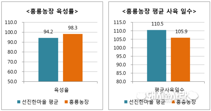 흥룡농장의 육성률 및 평균 사육 일수