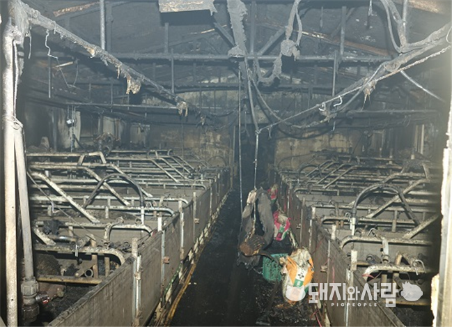 2월 15일 제주 서귀포 화재(출처: 제주도소방안전본부)