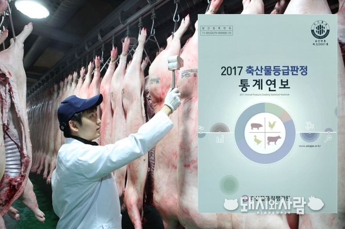 품평원의 통계연보에는 돼지를 포함한 소, 돼지, 닭, 계란 등의 한해동안의 등급판정 결과와 가격동향을 담고 있으며 매년 이 시기 분석자료 형태로 발간되고 있습니다.
