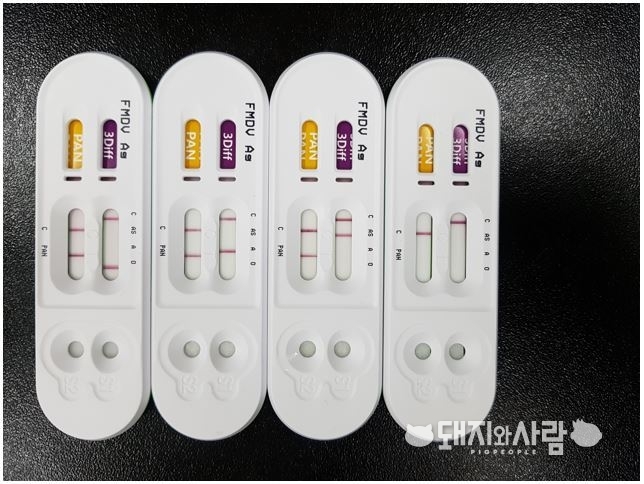 구제역 혈청형 신속 감별 진단키트. 우리나라는 O형과 A형이 발병한 바 있으며 Asia1은 인근 국가에서 문제가 되고 있습니다.