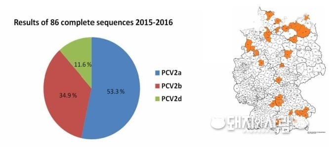 독일 양돈장에서의 PCV2바이러스 시퀸싱 결과