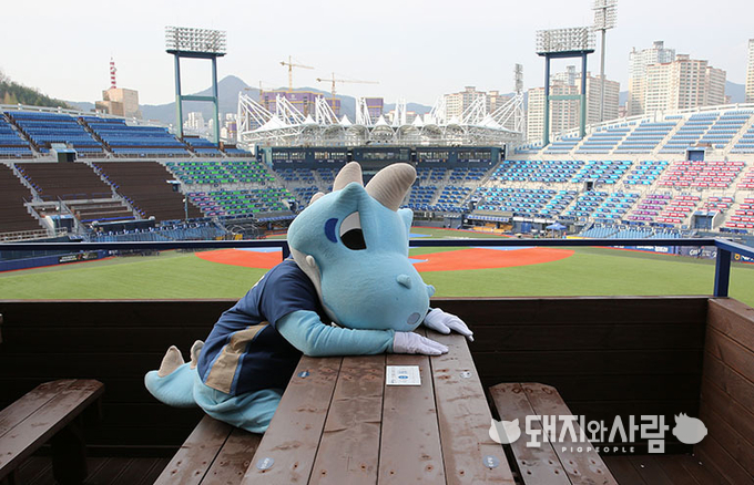 그라운드를 내려다 보며 삼겹살을 즐길 수 있는 외야파티석@NC 다이노스