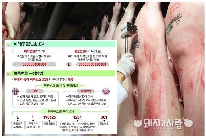 돼지고기 이력제@농관원 및 품평원