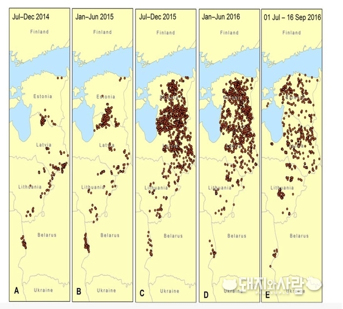야생 멧돼지의 전파 신고 (2014년~2016년)@African swine fever in wild boar. EFSA Journal: 11 July 2018(좌)