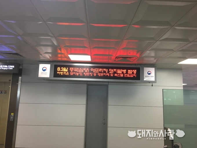 제주공항 내 아프리카돼지열병 관련 홍보 전광판@제주특별자치도 