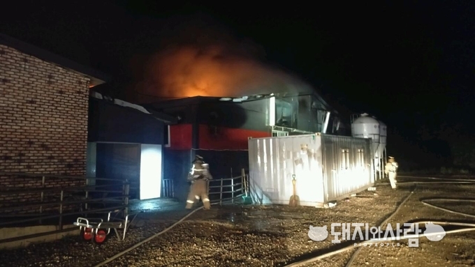 23일 경기 연천 돈사화재@경기도소방재난본부