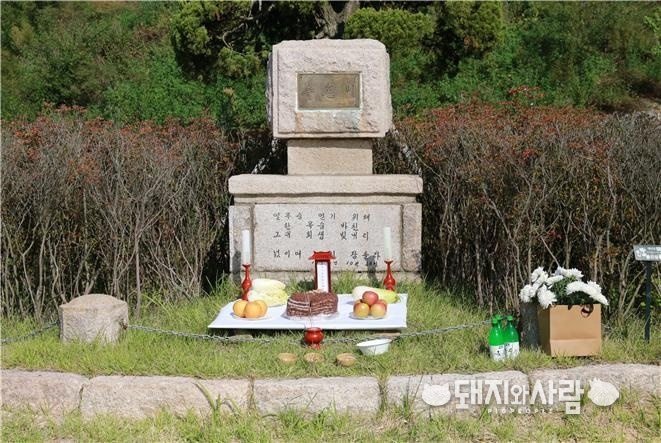 검역본부의 축혼비@검역본부