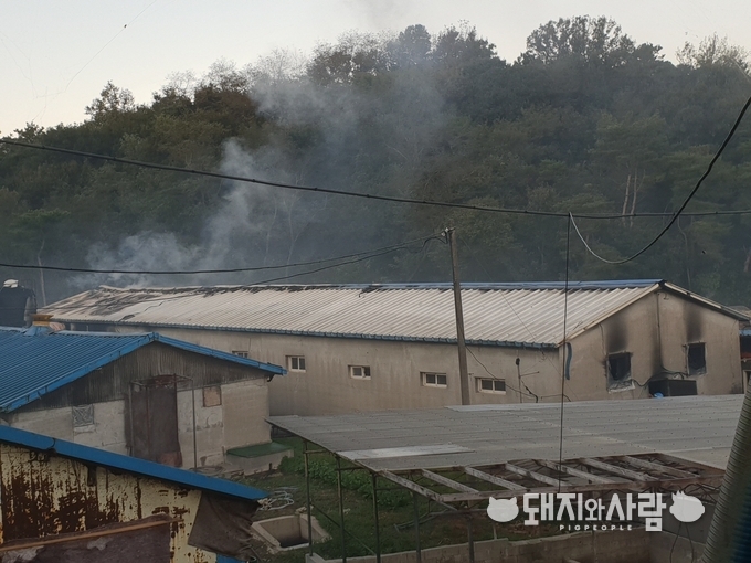 10월 19일 충남 보령 돈사 화재@보령소방서