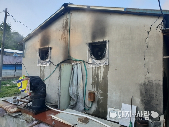 10월 19일 충남 보령 돈사 화재@보령소방서