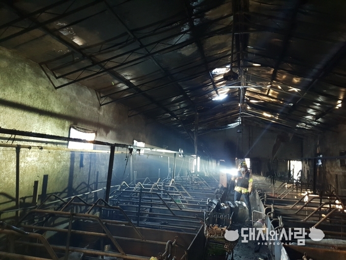 10월 19일 충남 보령 돈사 화재@보령소방서