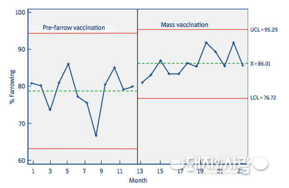 분만 전 백신 프로그램(Pre-farrow Vaccination)과 일제 접종 프로그램(Mass Vaccination)에서의 분만율(%) 변화@베링거인겔하임