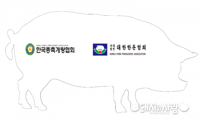 국내 종축등록기관(돼지)으로 승인된 곳은 한국종축개량협회와 대한한돈협회 2곳 입니다@돼지와사람 