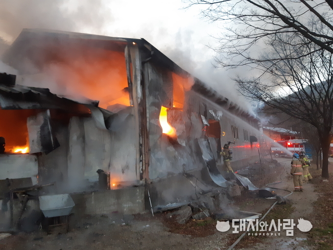 22일 경기 포천 돈사 화재@경기도소방본부